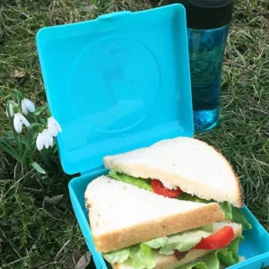Caserola sandwich Carl Oscar orange