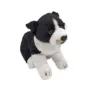 Catel de plus 22 cm Border Collie