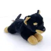 Catelus Rottweiler de plus 14 cm