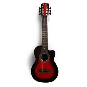 Chitara acustica