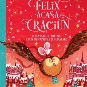 Cum a ajuns Felix acasa de Craciun
