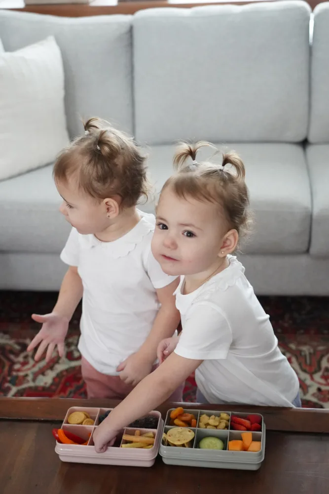 Cutie snack cu 6 compartimente Melii Grey