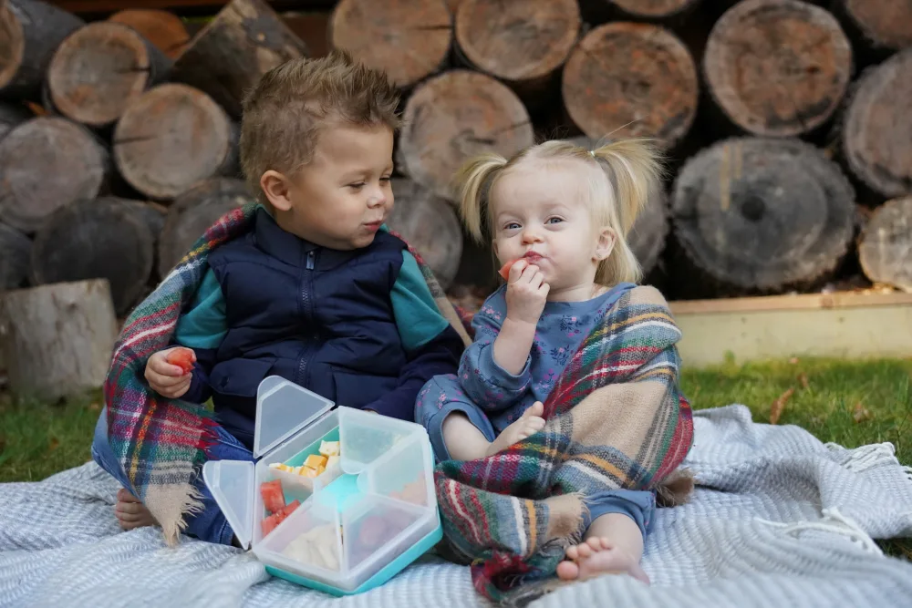 Cutie snack hexagon snackle cu 6 compartimente Melii pink