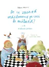 De ce zboara vrajitoarele pe cozi de matura?... si alte 10 intrebari fantastice