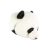 Decoratiune de perete Wild and Soft cap de urs Panda Thomas