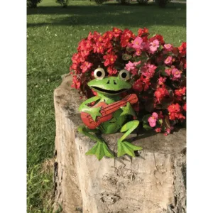 Decoratiune gradina Broscoi cu chitara