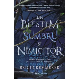 Distrugatorii de blesteme