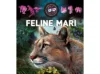 Feline mari 3D