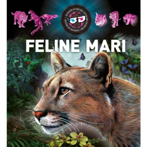 Feline mari 3D