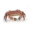 Figurina Papo Crab