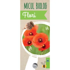 Flori