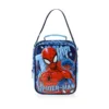 Gentuta pentru pranz Spidey