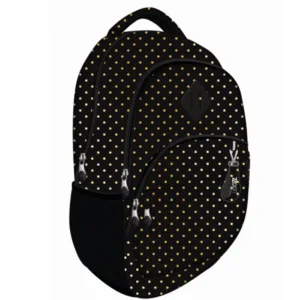 Ghiozdan cu 2 compartimente