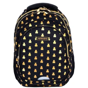 Ghiozdan cu 3 compartimente