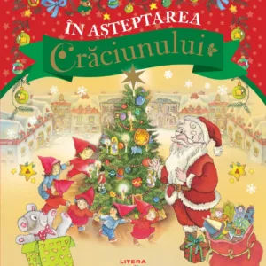 In asteptarea Craciunului