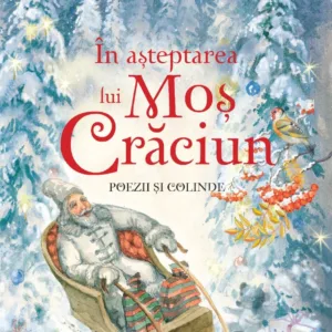 In asteptarea lui Mos Craciun