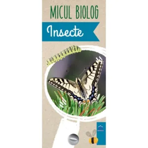 Insecte