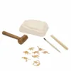 Kit excavare fosila de dinozaur