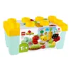 LEGO® DUPLO® - Gradina Ecologica (10984)