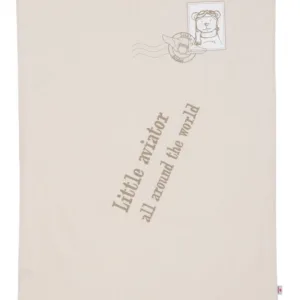 Lenjerie pentru patut copii set 4 piese Little Aviator