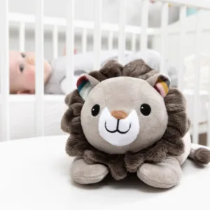 Leo - Proiector Muzical