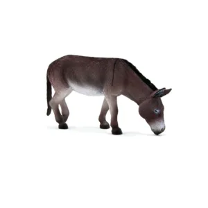 Magar Mojo Animal Planet