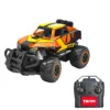 Masina cu telecomanda Mini Truck