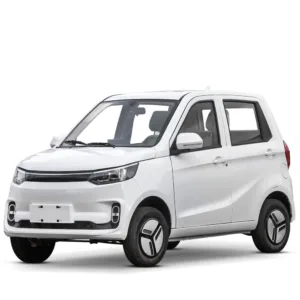 Masina electrica inmatriculabila