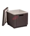 Masutascaun Keter Ice Cub cu spatiu depozitare 42x 42 cm maro