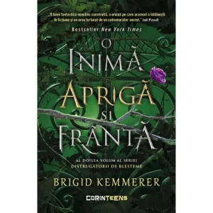 O inima apriga si franta. Seria Distrugatorii de blesteme