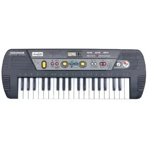 Orga electronica cu microfon WB Ionica Academy Of Music 37 clape