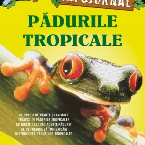 Padurile tropicale. Infojurnal