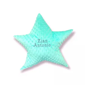 Perna decorativa personalizata Steluta din plus minky verde menta