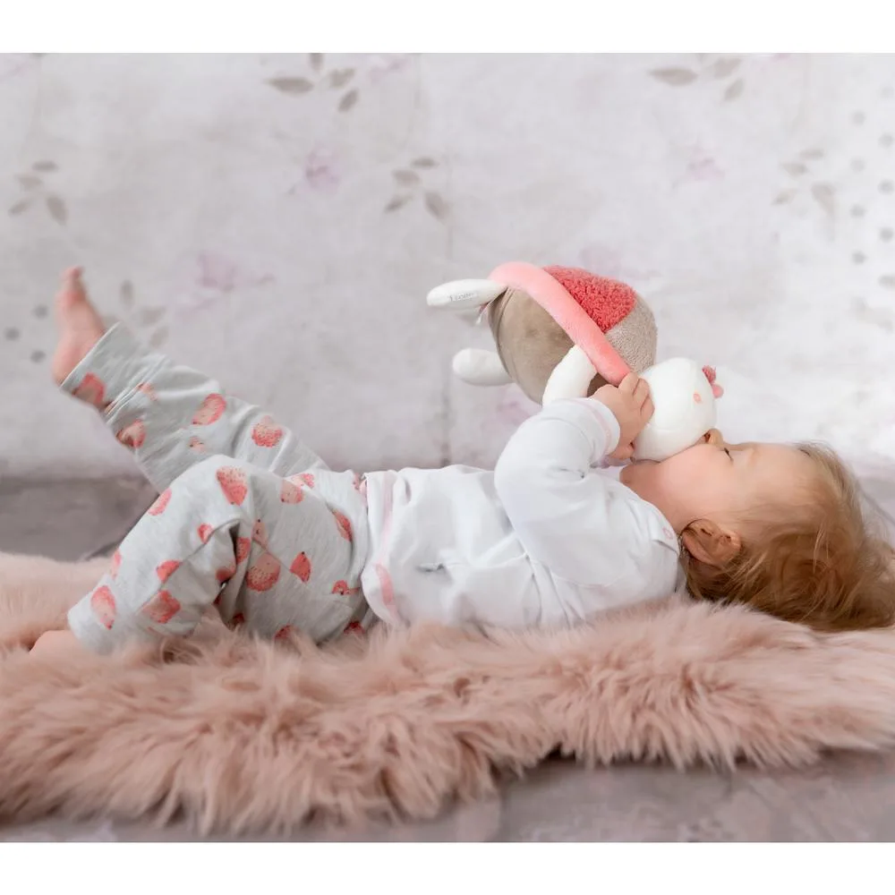 Pernuta anticolici Broscuta testoasa