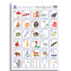 Plansa Editura DPH