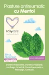 Plasture antireumatic Easycare Mentol 18x12cm