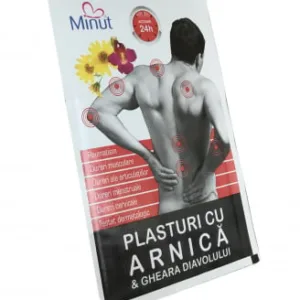 Plasture cu arnica si gheara diavolului 9x14 cm