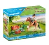 Playmobil PM70516 Figurina de colectie Ponei Connemara