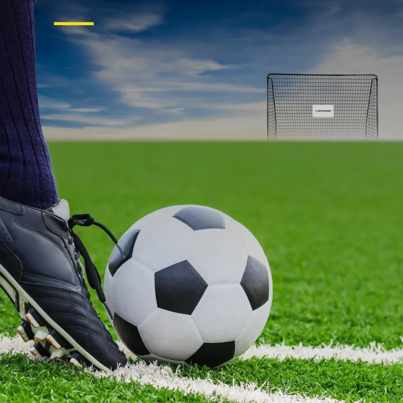 Poarta de fotbal Dunlop 300x205x120 cm