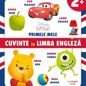 Primele mele cuvinte in limba engleza