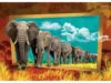 Puzzle 1000 piese Art Puzzle Abundance