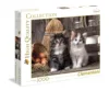 Puzzle 1000 piese Clementoni Sweet Kittens