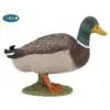 Rata Mallard Papo
