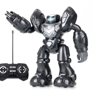 Robot electronic