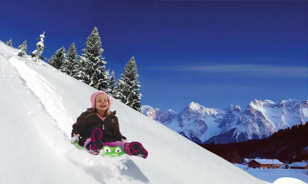 Sanie placa Gowi pentru copii