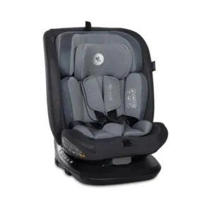 Scaun auto