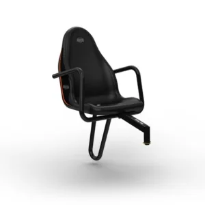 Scaun pasager pentru Kart