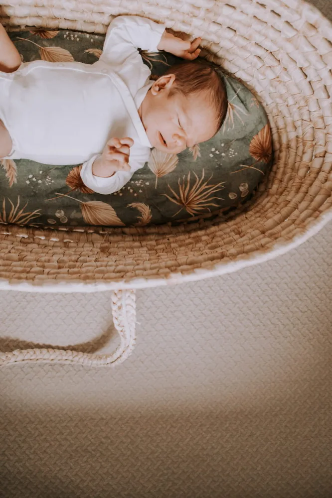 Set 2 cearsafuri cu elastic pentru landoucosulet bebe Boho GreenBoho Botanic Sleepee