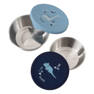 Set 2 recipiente pentru gustari Fresk Dino