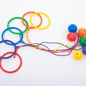 Set 6 cercuri pentru glezna Edx Education